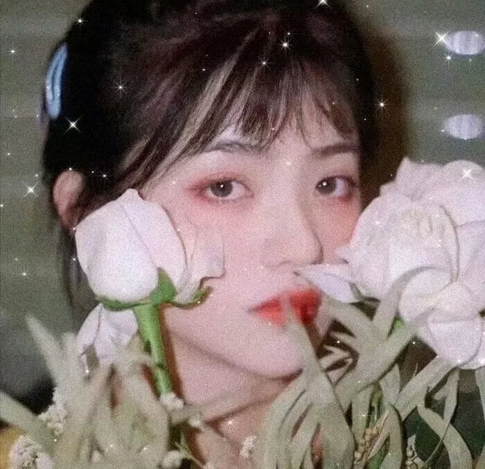 我的青春也灿烂